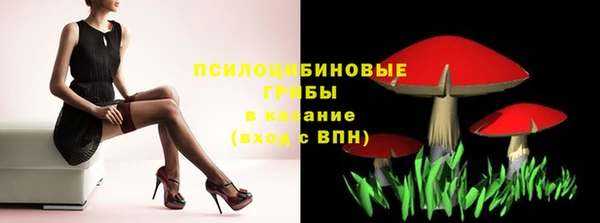 эйфоретик Алексин