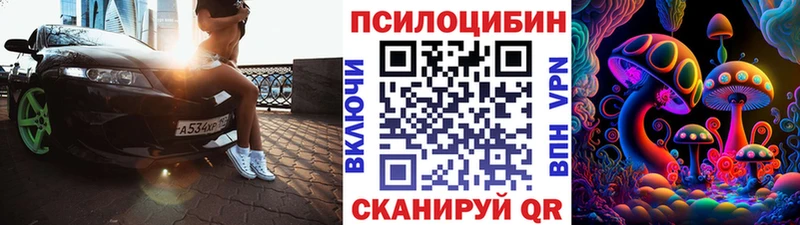 купить наркотик  Кола  Псилоцибиновые грибы Cubensis 